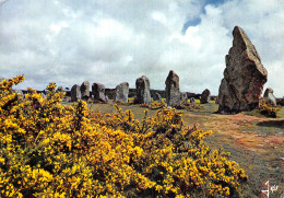 56 CARNAC LES AJONCS ET LES MENHIRS - Carnac