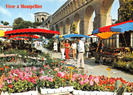 34 MONTPELLIER - Montpellier