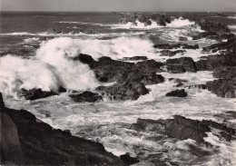 29 LA COTE BRETONNE - Sonstige & Ohne Zuordnung