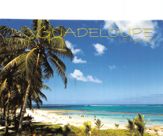 971 GUADELOUPE LE MOULE PLAGE DES DAUPHINS - Autres & Non Classés