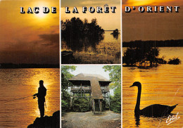 10 LAC DE LA FORET D ORIENT - Autres & Non Classés