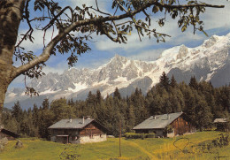 74 LA CHAINE DU MONT BLANC DEPUIS VAUDAGNE - Otros & Sin Clasificación