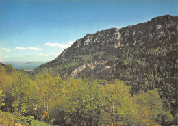 SUISSE LA MONTAGNE DE BOUDRY - Autres & Non Classés