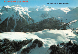 74 SAMOENS LES SAIX - Samoëns