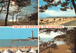 17 SAINT GEORGES DE DIDONNE - Saint-Georges-de-Didonne