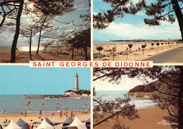 17 SAINT GEORGES DE DIDONNE - Saint-Georges-de-Didonne