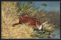 Künstler-AK M. Müller Jun.: Leopard Mit Gerissenem Vogel Am Ufer  - Aviron