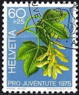 Switzerland 1975 - Mi 1066 - YT 998 ( Flowers Of Great Maple ) - Gebruikt