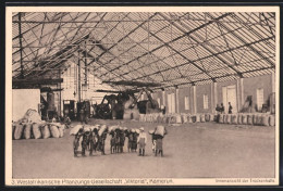 CPA Kamerun, Westafrikanische Pflanzungs-Gesellschaft, Vue Intérieure Der Trockenhalle  - Cultivation