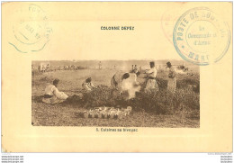 MAROC COLONNE DE FEZ CUISINES AU BIVOUAC  CACHET VAGUEMESTRE 1912 BOU-ZNIKA - Other & Unclassified