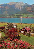 Autriche SALZKAMMERGUT - Other