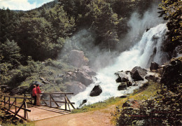 65 CAUTERETS CASCADE DE LUTOUR - Cauterets