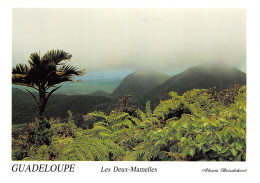 971 LA GUADELOUPE BASSE TERRE - Basse Terre