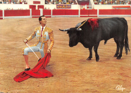 Espagne TAUREAUX LUIS MIGUEL DOMINGUIN - Bull