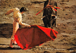 Espagne TAUREAU CORRIDA - Bull