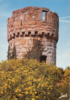 22 ILE DE BREHAT VIEUX MOULIN - Ile De Bréhat