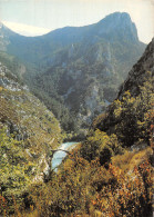 04 GRAND CANYON DU VERDON LE PONT DU TUSSET - Autres & Non Classés