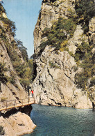 66 AMELIE LES BAINS LES GORGES DU MONDONY - Sonstige & Ohne Zuordnung