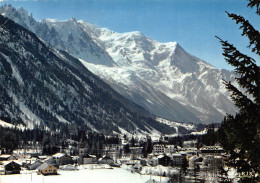 74 ARGENTIERE LES AIGUILLES DE CHAMONIX - Autres & Non Classés