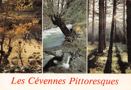 48 LES CEVENNES - Autres & Non Classés