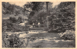 Belgique MODAVE CASCADES DU ROISEUX - Modave