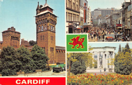 RU PAYS DE GALLES CARDIFF - Autres & Non Classés