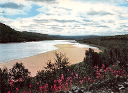 NORWAY THE TANA RIVER - Norway