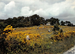 56 CARNAC MOULIN DE KERMAUX - Carnac