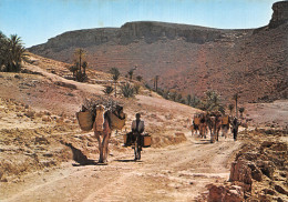 TUNISIE PISTE DANS LE SUD - Tunisie