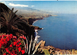 Espagne TENERIFE - Tenerife