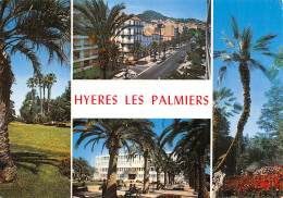 83 HYERES LES PALMIERS - Hyeres