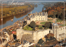 37 AMBOISE - Amboise