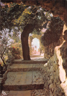 06 EZE VILLAGE - Eze