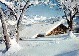 74 MORZINE - Morzine