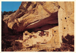 USA CO CLIFF PALACE - Other & Unclassified