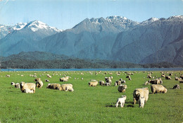 NEW ZELAND LAKE TE ANAU - New Zealand