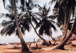 ANTILLES PLAGE DE PECHEURS - Autres & Non Classés