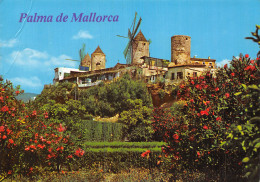 Espagne MALLORCA BALEARES - Mallorca