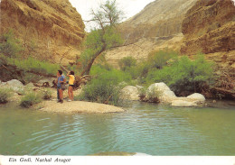 ISRAEL ARUGOT EIN GEDI NACHAL - Israel