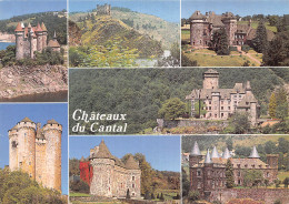 15 CHATEAUX DU CANTAL - Other & Unclassified
