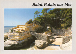 17 SAINT PALAIS SUR MER - Saint-Palais-sur-Mer