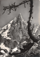 74 CHAMONIX L AIGUILLE DU DRU - Chamonix-Mont-Blanc