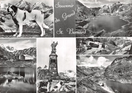 SUISSE VS VALAIS GRAND SAINT BERNARD - Other & Unclassified