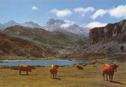 Espagne ASTURIAS COVADONGA - Asturias (Oviedo)