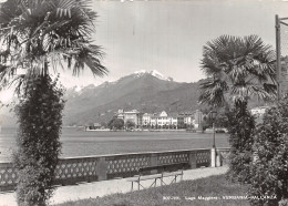 Italie PIEMONTE LAGO MAGGIORE VERBANIA PALLANZA - Autres & Non Classés