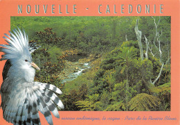 988 NOUVELLE CALEDONIE - Nouvelle Calédonie