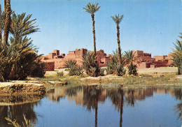 MAROC OSASIS DE ZAGORA - Other & Unclassified