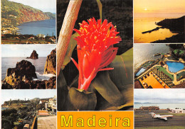 Espagne MADEIRA - Madeira