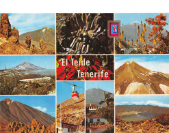 Espagne TENERIFE EL TEIDE - Tenerife