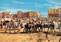 Belgique LA PANNE - De Panne